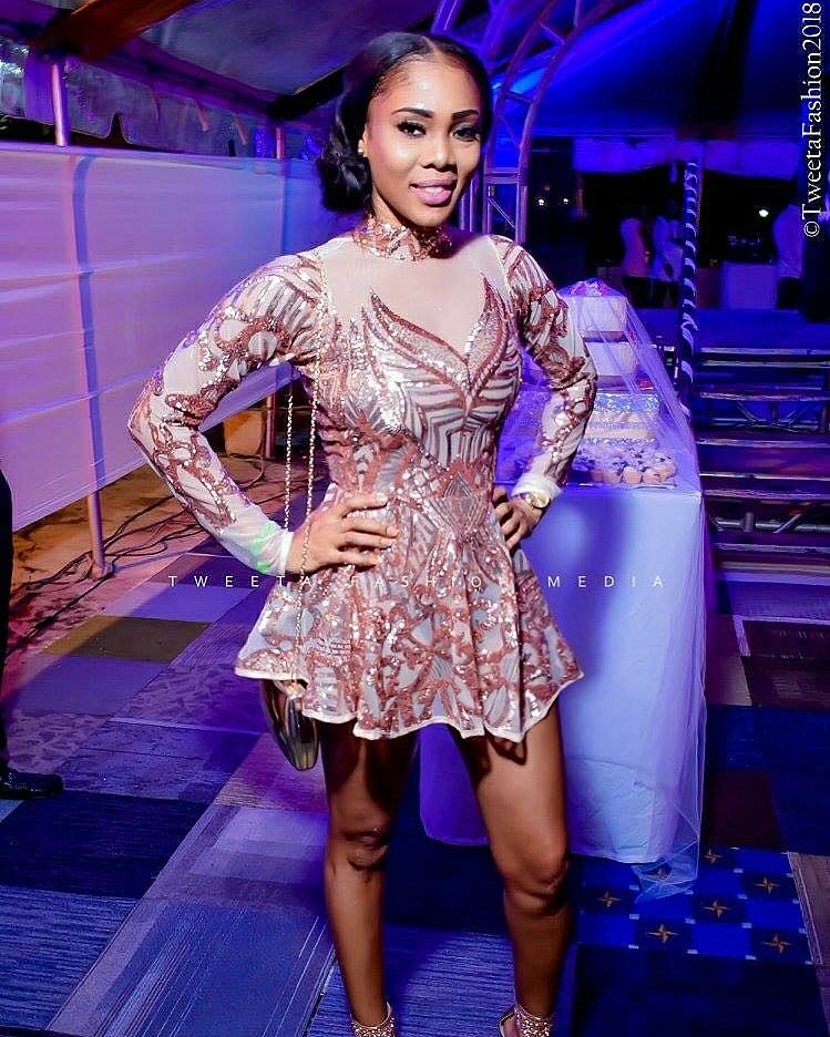 Surya Long Sleeve Sequin Skater Dress