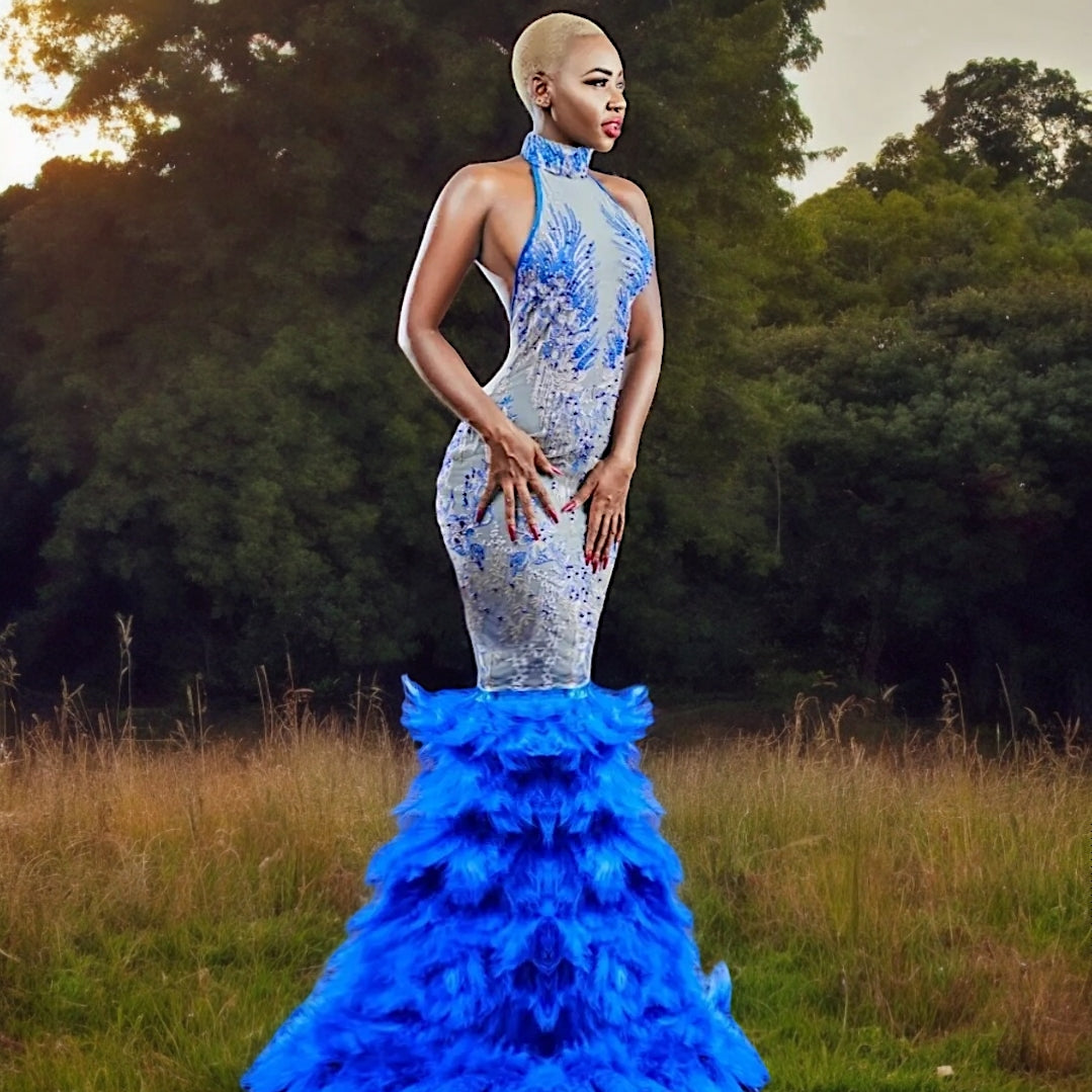 Asimi Azure Embroidery Feather Gown