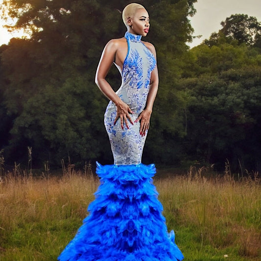 Asimi Azure Embroidery Feather Gown