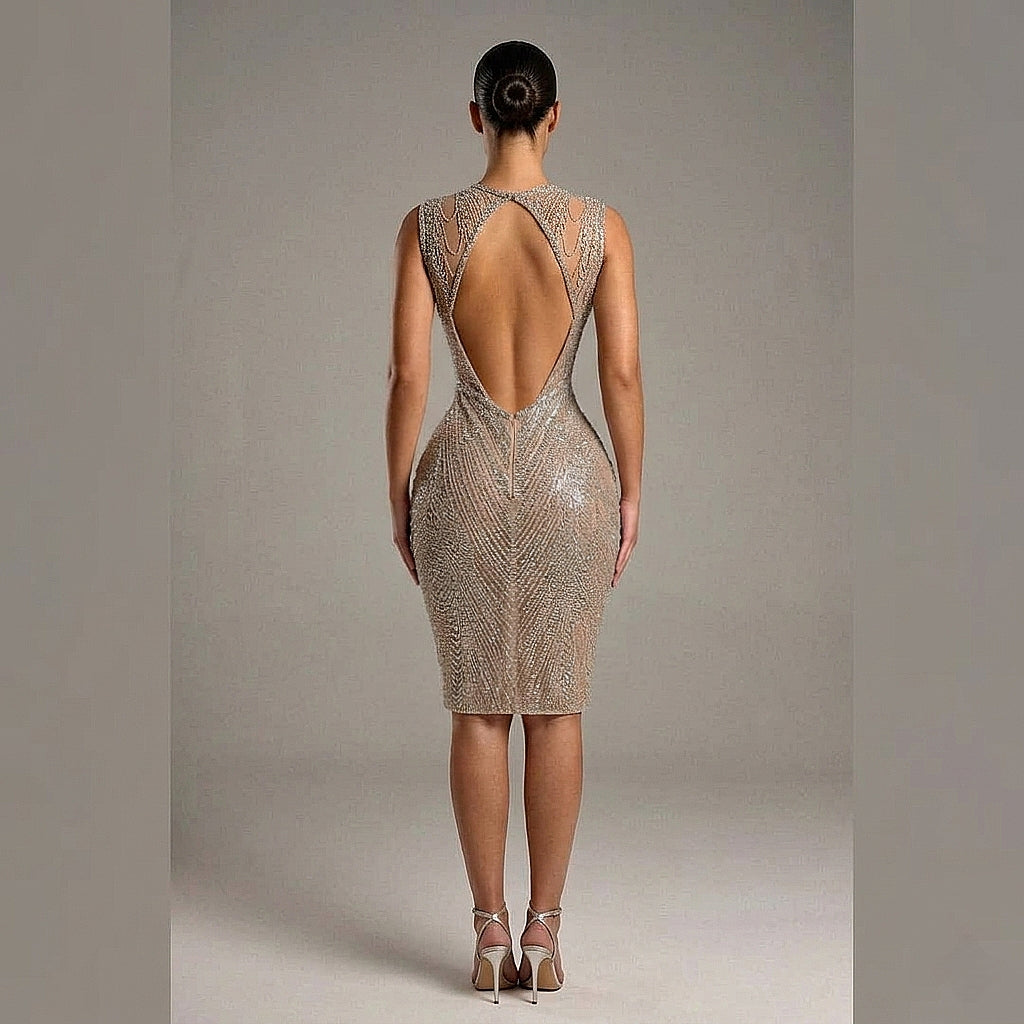 Zandria Midi Rhinestone Dress