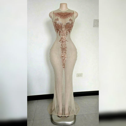 Stardust Sequin Embroidery Dress